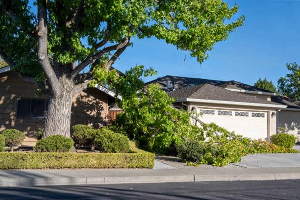 Emergency tree service Columbia SC