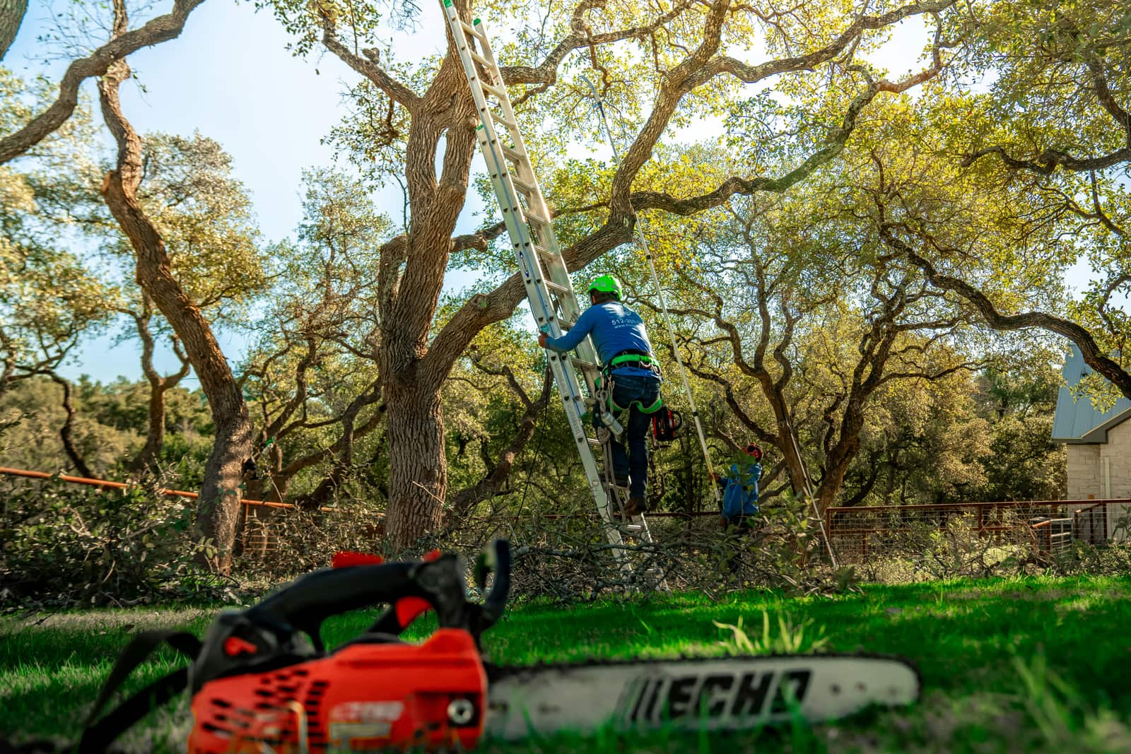 Haven Landscaping services